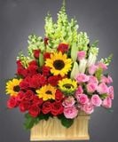  Hộp Hoa Để Bàn Khai Trương Sunny - HCH73 