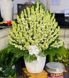  Bình Hoa Huệ Trắng - HCB70 