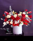  Sự Sống - HH42 - Hoa  Hồng 20/10 