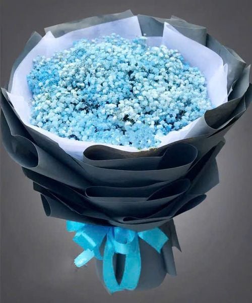  Bó Hoa Blue Baby - HBT69 