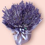  Hộp Hoa Lavender Thuỷ Chung - LVD01 