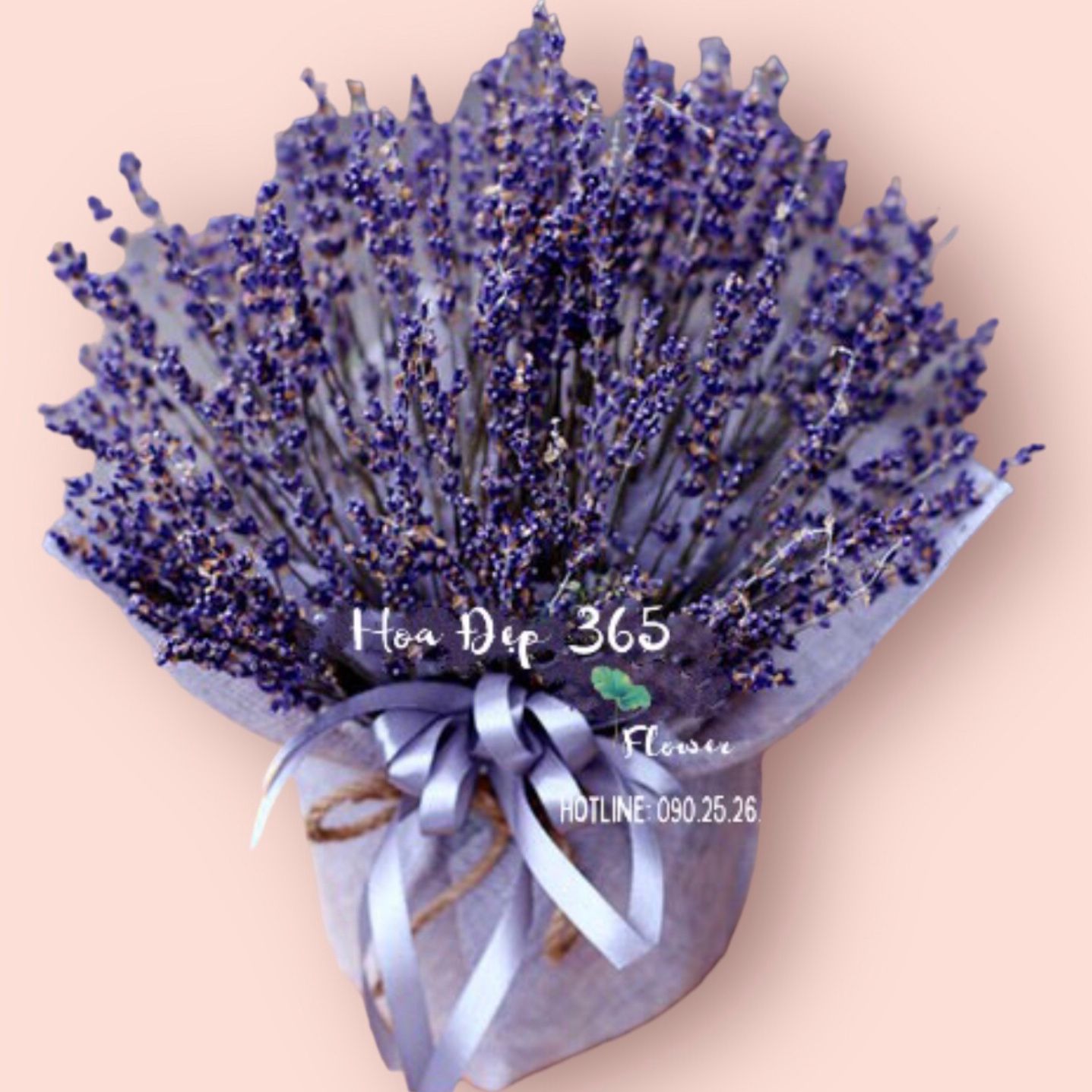  Hộp Hoa Lavender Thuỷ Chung - LVD01 