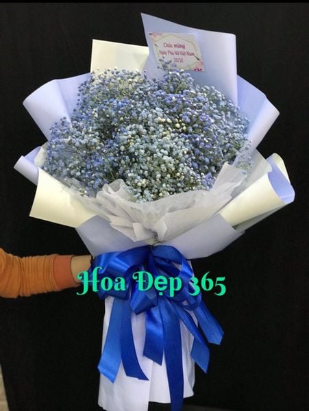 bo-hoa-babi-ha-lan-xanh-hb01