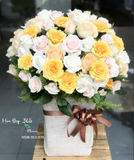 Hộp Hoa Ngày Mới Nắng Lên - HCH102 
