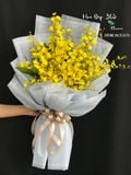 Bó Lan Vũ Nữ - HBD237 