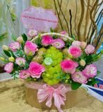  Giỏ Trái Cây Chúc Mừng Khai Trương - GTC09 