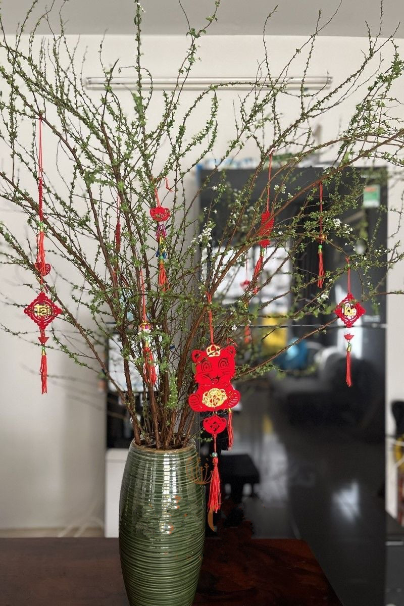 Bình Hoa Tuyết Mai - HCB67 - Hoa Chưng Tết Nguyên Đán