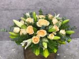  Hoa Để Bàn Hừng Sáng - Ovan 23 