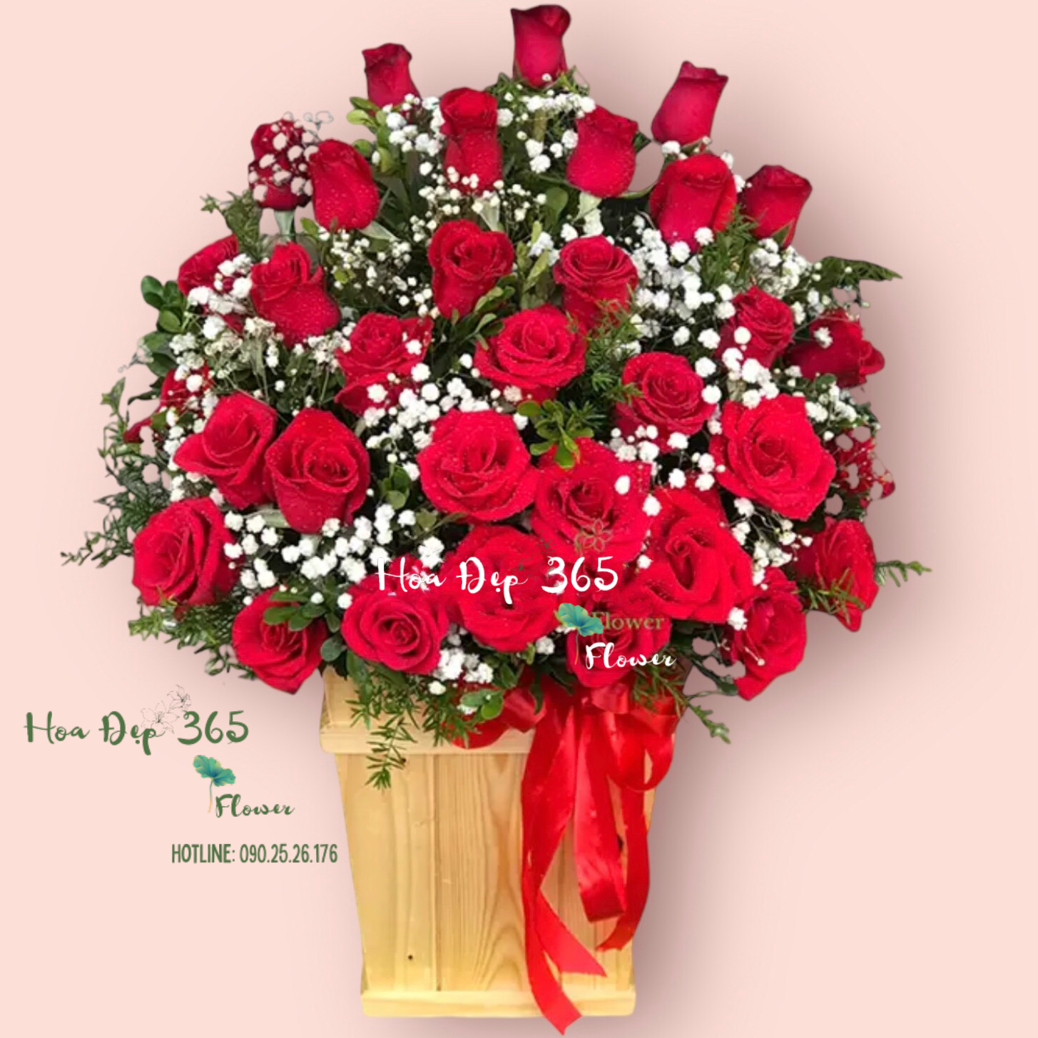  My Dear - HCH34 - Hoa Hồng 20/10 