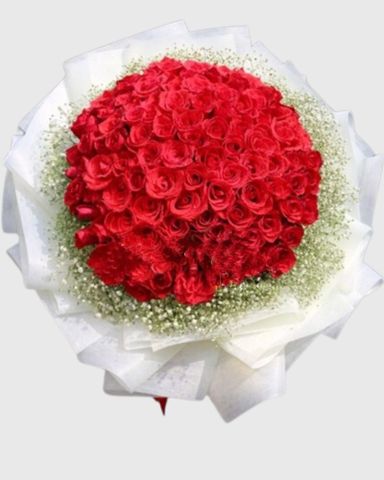 Mẫu Hoa Tươi Màu Đỏ dành cho tình yêu nồng cháy, niềm đam mê