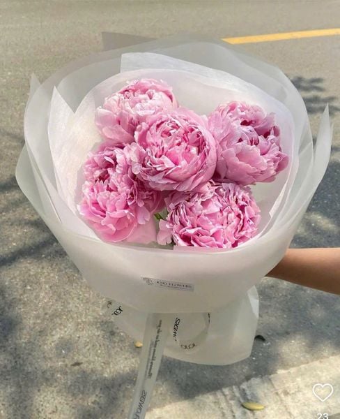 Bó Hoa Mẫu Đơn Hồng - HBT60