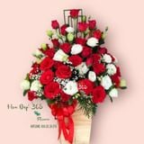  Hộp Hoa Đỏ Thắm - HCH71 - Hoa Tặng Mẹ 