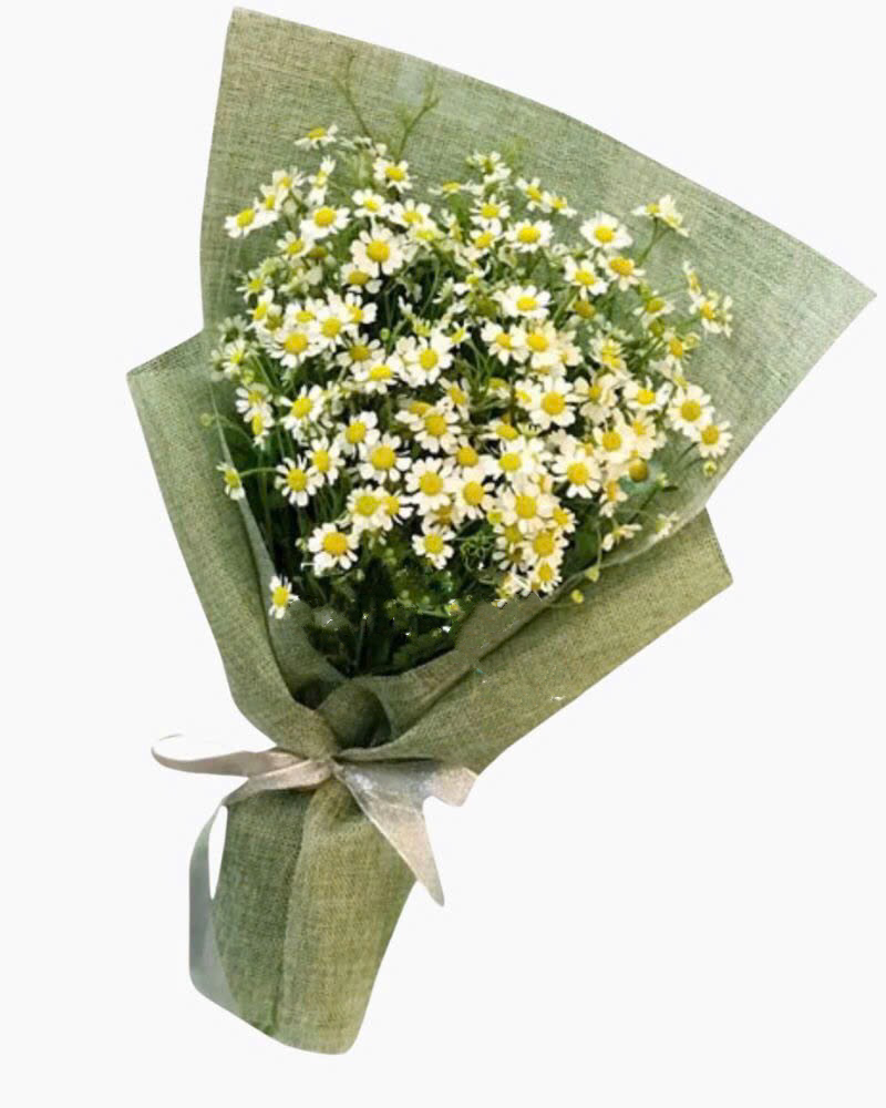  Bó hoa Tana - HBD181 - Hoa Sinh Nhật 
