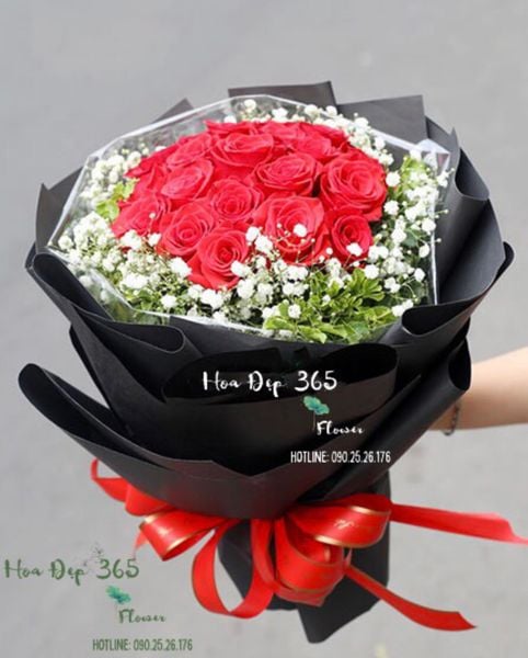 ben-em-hbt20-hoa-20-10