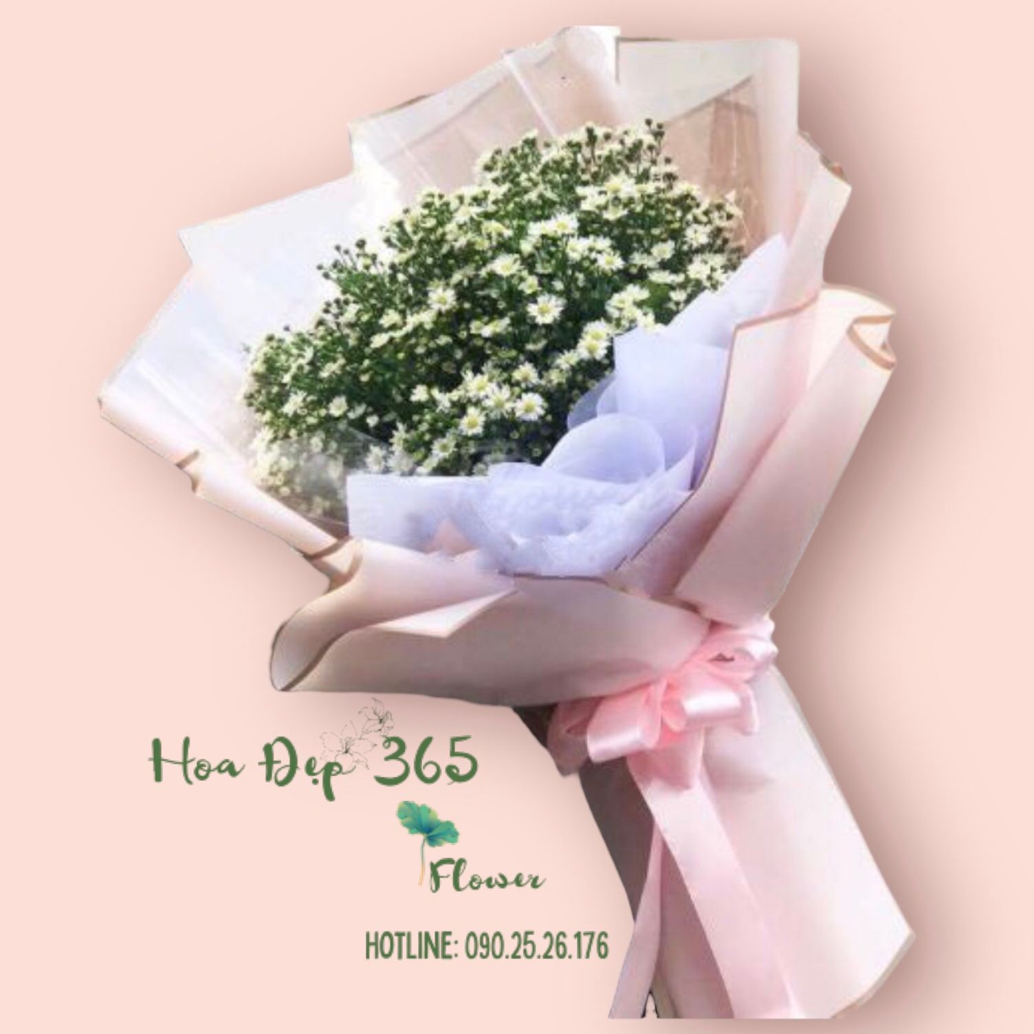 Bó Hoa Thạch Thảo Trắng - HBD91 – HoaĐẹp365 Bó Hoa Thạch Thảo Trắng - HBD91 – HoaĐẹp365