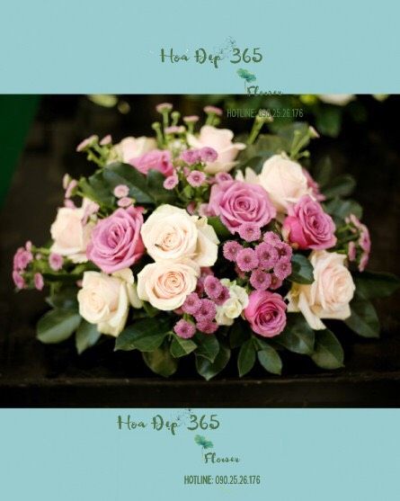 hoa-de-ban-ovan-09