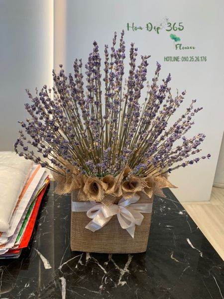 thao-duoc-tinh-yeu-lvd06