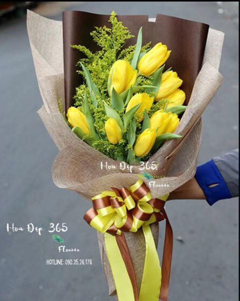  Bó Hoa Tulip Vàng - HBD62 - Điện Hoa 