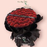  Love Circle - HST28 - Bó Hồng Đỏ Kim Tuyến 50 Bông - Hoa 20/10 