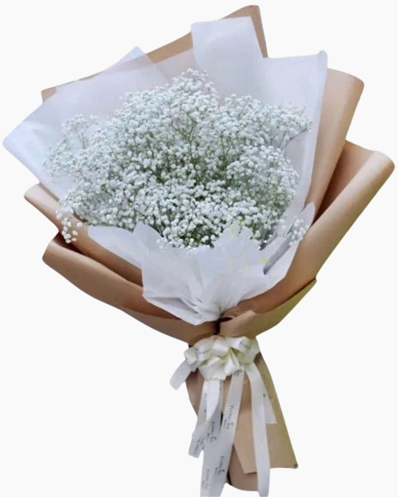 Mẫu Hoa Baby Nhiều Màu