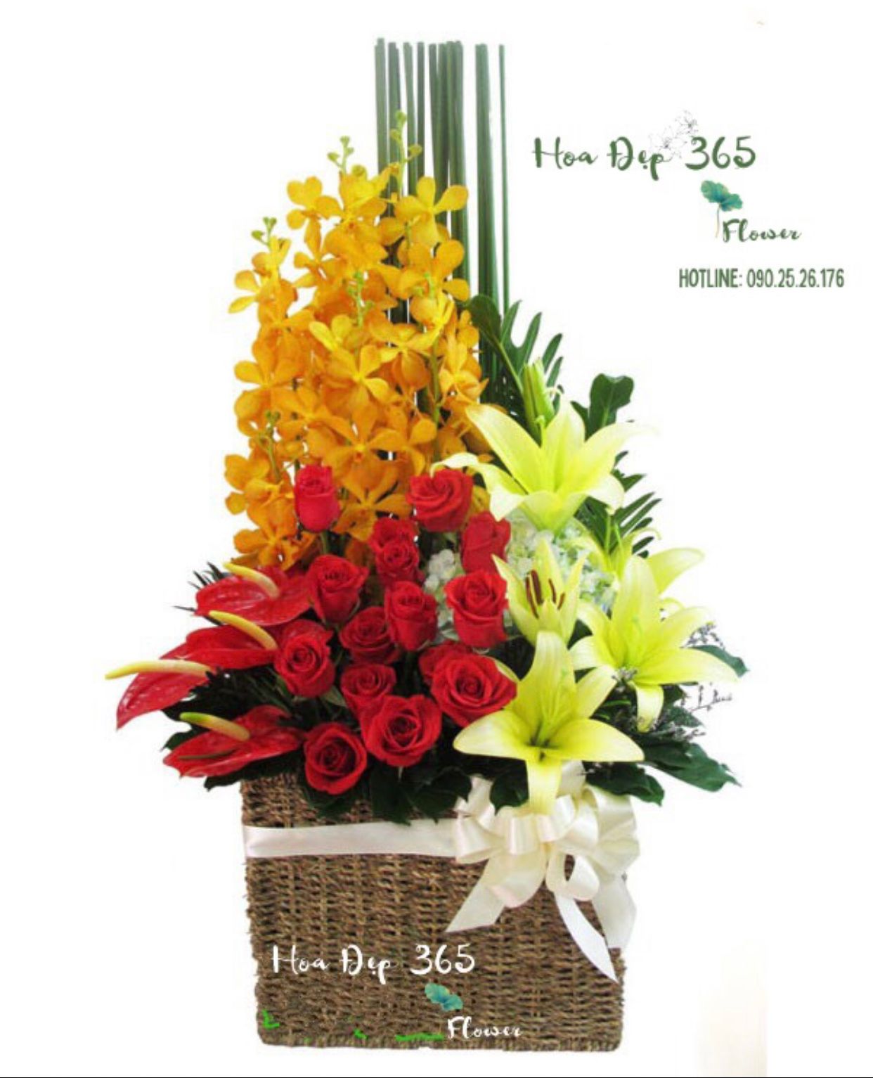  Nhịp Điệu - HG46 - Giỏ Hoa Khai Trương Để Bàn 