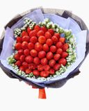  Bó Hoa Bé Dâu - TC08 