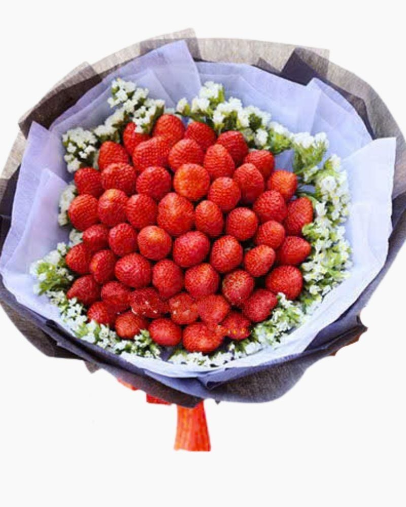  Bó Hoa Bé Dâu - TC08 