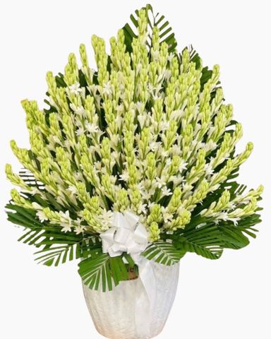 Mẫu Hoa Huệ đẹp giá rẻ