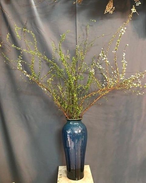 binh-hoa-tuyet-mai-hcb65-hoa-chung-tet-nguyen-dan