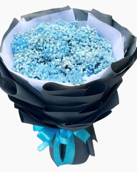  Bó Hoa Blue Baby - HBT69 