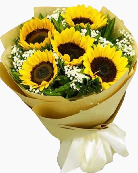 Bó Hoa Ánh Dương