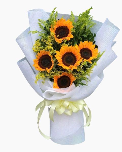  Bó Hoa Vẻ Đẹp Tinh Khôi - HBD242 