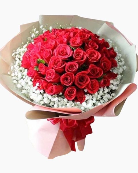 Bó Hoa Hồng Đỏ 50 Bông