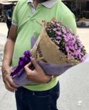  Bó Hoa Thạch Thảo Tím - HBT57 