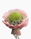  Bouquet of Grapes Mix Baby - TC29 