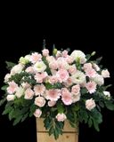  Bục Hoa Phát Biểu Dáng Hoa Tuyên Ngôn - BPB11 