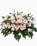  Bục Hoa Phát Biểu Dáng Hoa Tuyên Ngôn - BPB11 