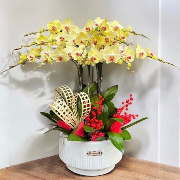 Chậu Hoa Lan Hồ Điệp Vàng 12 Cành - LHĐ111