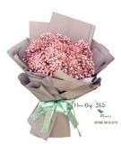  Kẹo Hồng - HBD105 - Điện Hoa 