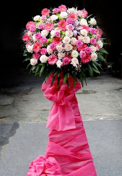 Kệ Hoa Mạnh Mẽ Tiến Bước