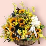  Giỏ Hoa Paradise - HG05 - Quà Tặng Thầy Cô Ý Nghĩa 20/11 