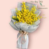  Bó Lan Vũ Nữ - HBD237 