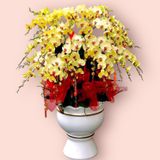  Tết Rực Rỡ - LHĐ67 - Hoa Tết Biếu Sếp 