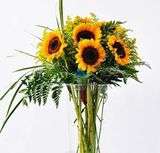  Hoa Hướng Dương - Hoa Cắt Cành 
