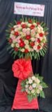  Kệ Hoa Khai Trương Khúc Hát Mê Ly - HCM59 