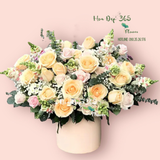  Time Love - HCH33 - Hoa Hồng 20/10 
