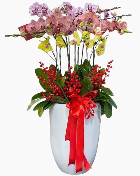 Chậu Lan 10 Cành Mix Màu