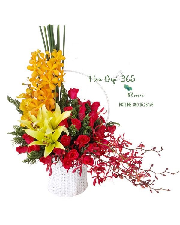  Sức Khỏe Dồi Dào - HG19 