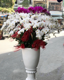  Chậu Hoa Lan Hồ Điệp Xoay Tròn - LHĐ71 