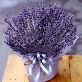  Hộp Hoa Lavender Thuỷ Chung - LVD01 - Điện Hoa 